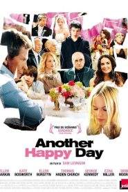 Another Happy Day (2011)