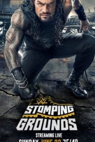 WWE Stomping Grounds (2019)