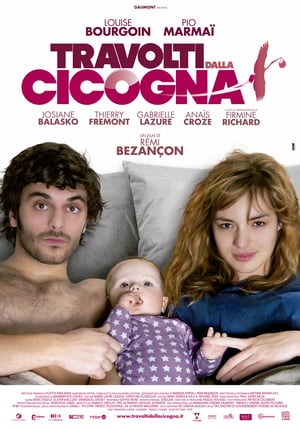 Travolti dalla cicogna (2011)