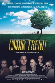 L’albero del vicino (2017)