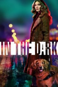 In the Dark (2019)