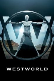 Westworld – Dove tutto è concesso