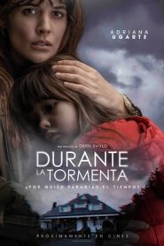 Durante la tormenta (2018)