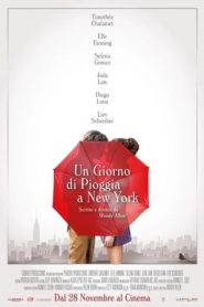 Un giorno di pioggia a New York (2019)