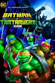 Batman vs. Teenage Mutant Ninja Turtles (2019)