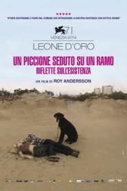 Un piccione seduto su un ramo riflette sull’esistenza (2014)