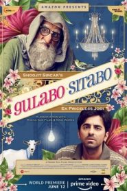 Gulabo Sitabo (2020)