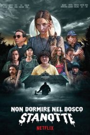 Non dormire nel bosco stanotte (2020)