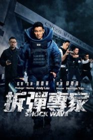 Shock Wave (2017)