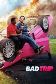 Bad Trip (2021)