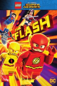 LEGO DC Super Heroes: Flash: Il fulcro della velocità (2018)