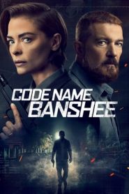 Code Name Banshee (2022)