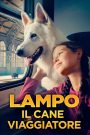 Lampo il cane viaggiatore (2023)