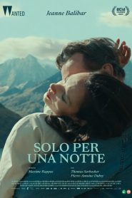 Solo per una notte (2023)