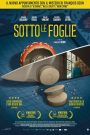 Sotto le foglie (2024)