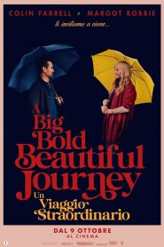 A Big Bold Beautiful Journey – Un viaggio straordinario (2025)
